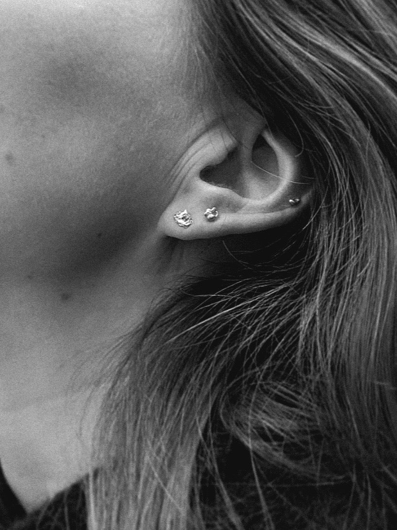 Crispy earstud (biggie/piece)